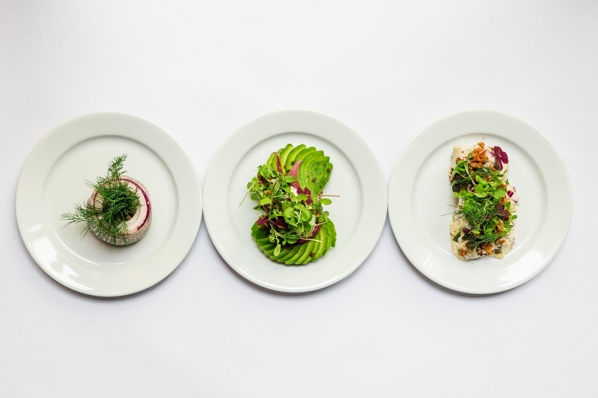 Selection of plated dishes on a modern counter